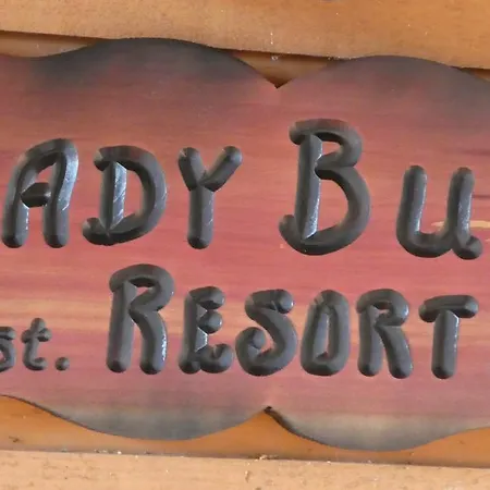 Ladybug Resort Romantic Cabin With Mountain Views, Game Room, Close To Dollywood Sevierville Exterior foto