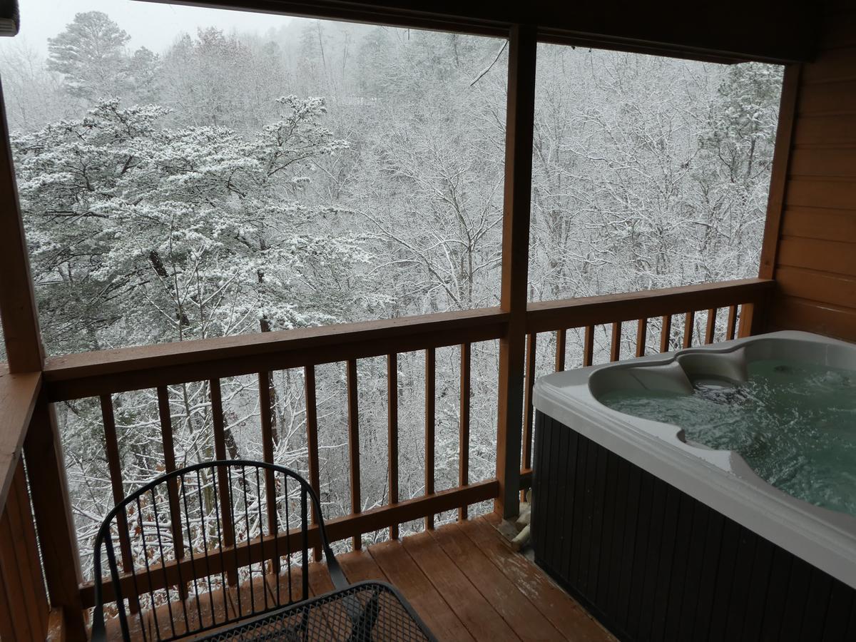 Ladybug Romantic With Mountain Views, Game Room, Close To Dollywood Holiday home